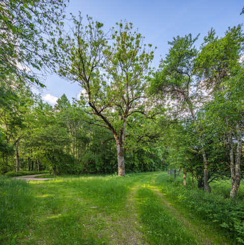 Gemeinde Töging Landkreis Altötting Engfurt Baum hinter Herrenhaus (Dirschl Johann) Deutschland AÖ